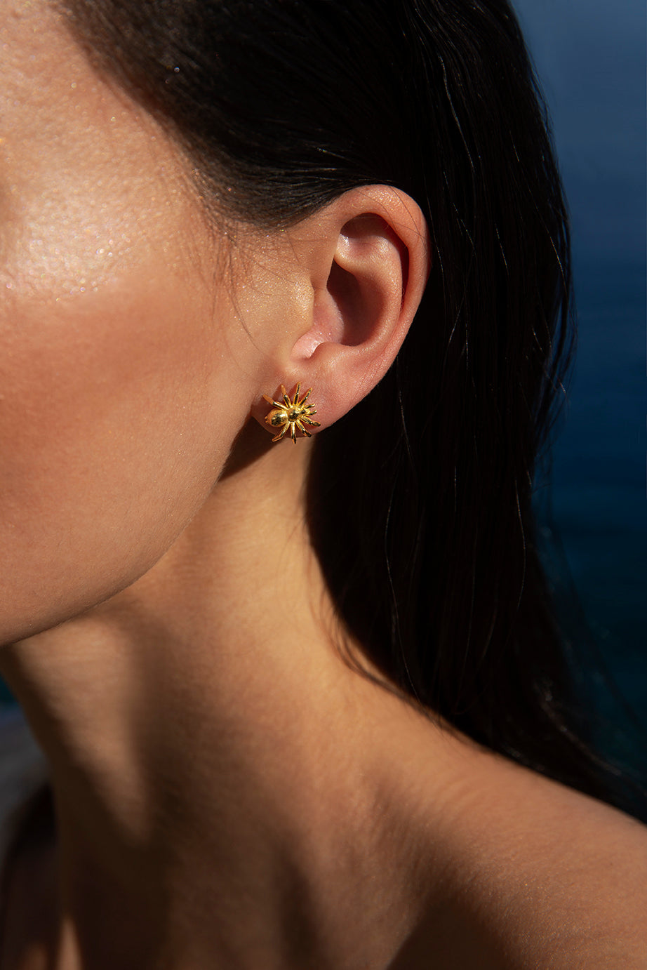 RANGO EARRINGS