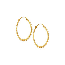 Load image into Gallery viewer, JAMNA GOLD PLATED SILVER EARRINGS
